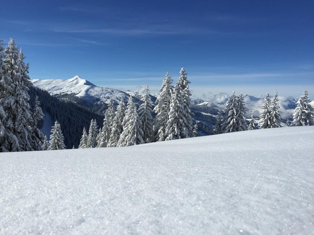 Das Alpbach Juwel Exterior foto